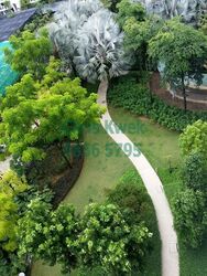 The Sea View (D15), Condominium #622165451